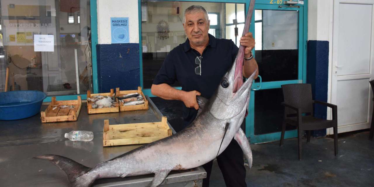 egede cikan baliklar soke etti balikcilar saskina dondu LpTVvOm4