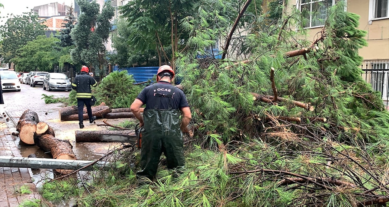 saganak devrilen agac yolu kapatti 839muTp4