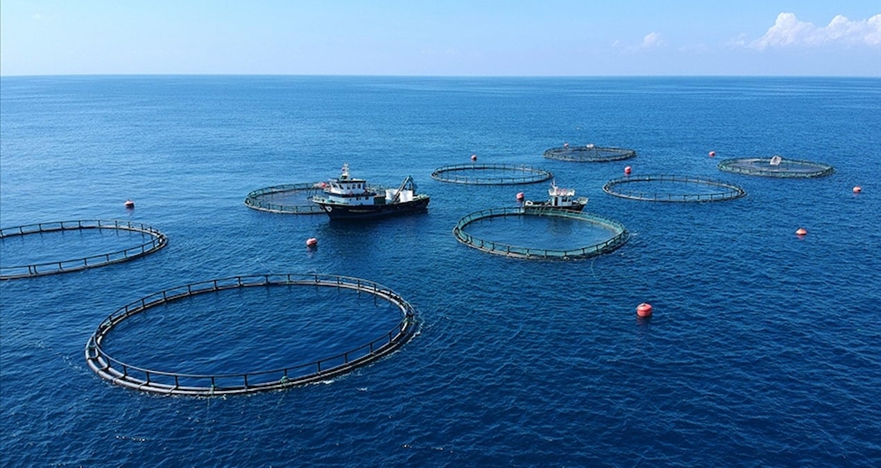 turk su urunlerine kanada pazari yeniden acildi ziNOqKkg