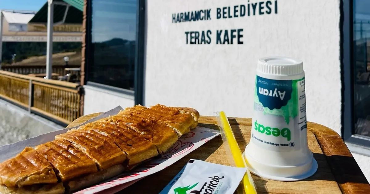 bursa harmancikta sosyal belediyecilik farki KfYMUgKW