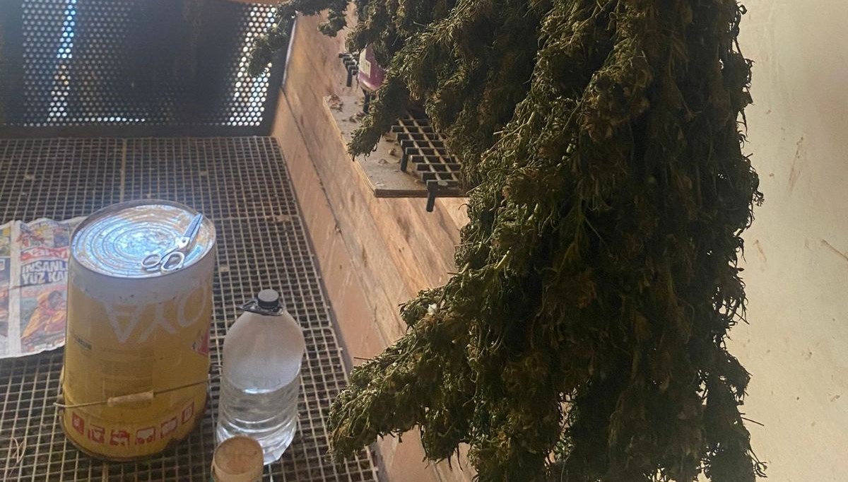 bursada guvercin kumesine gizlenmis uyusturucubulundu u3QQPcte