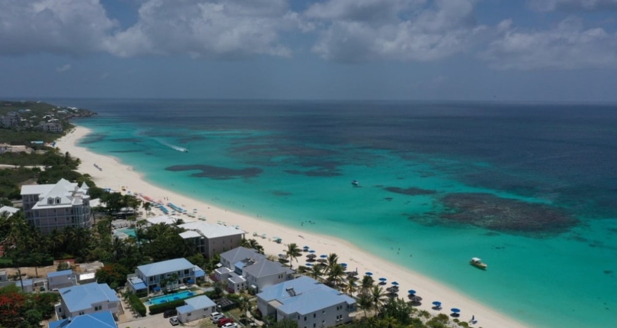 derin denizden gelen surpriz badem buyuklugunde yari saydam yengec kesfedildi lQRSDCsv.jpg