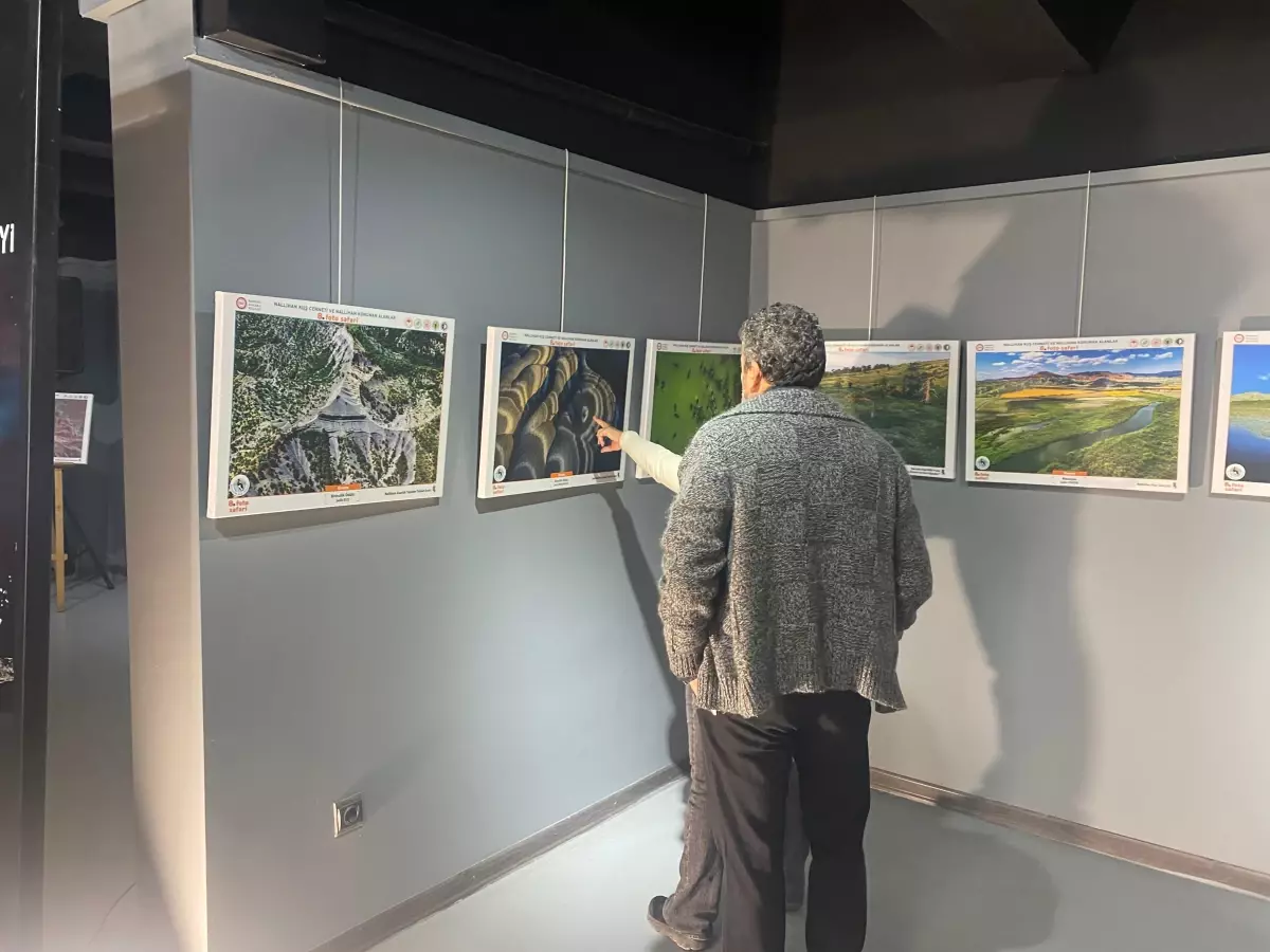 nallihan kus cennetinde foto safari sergisi acildi FgrZGXpk