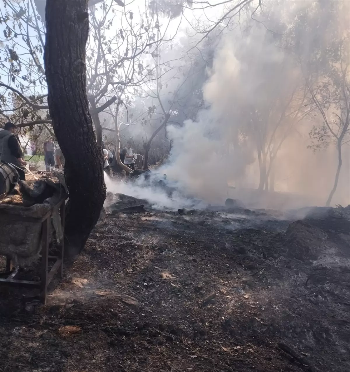 Adana’daki Orman Yangını Söndürüldü