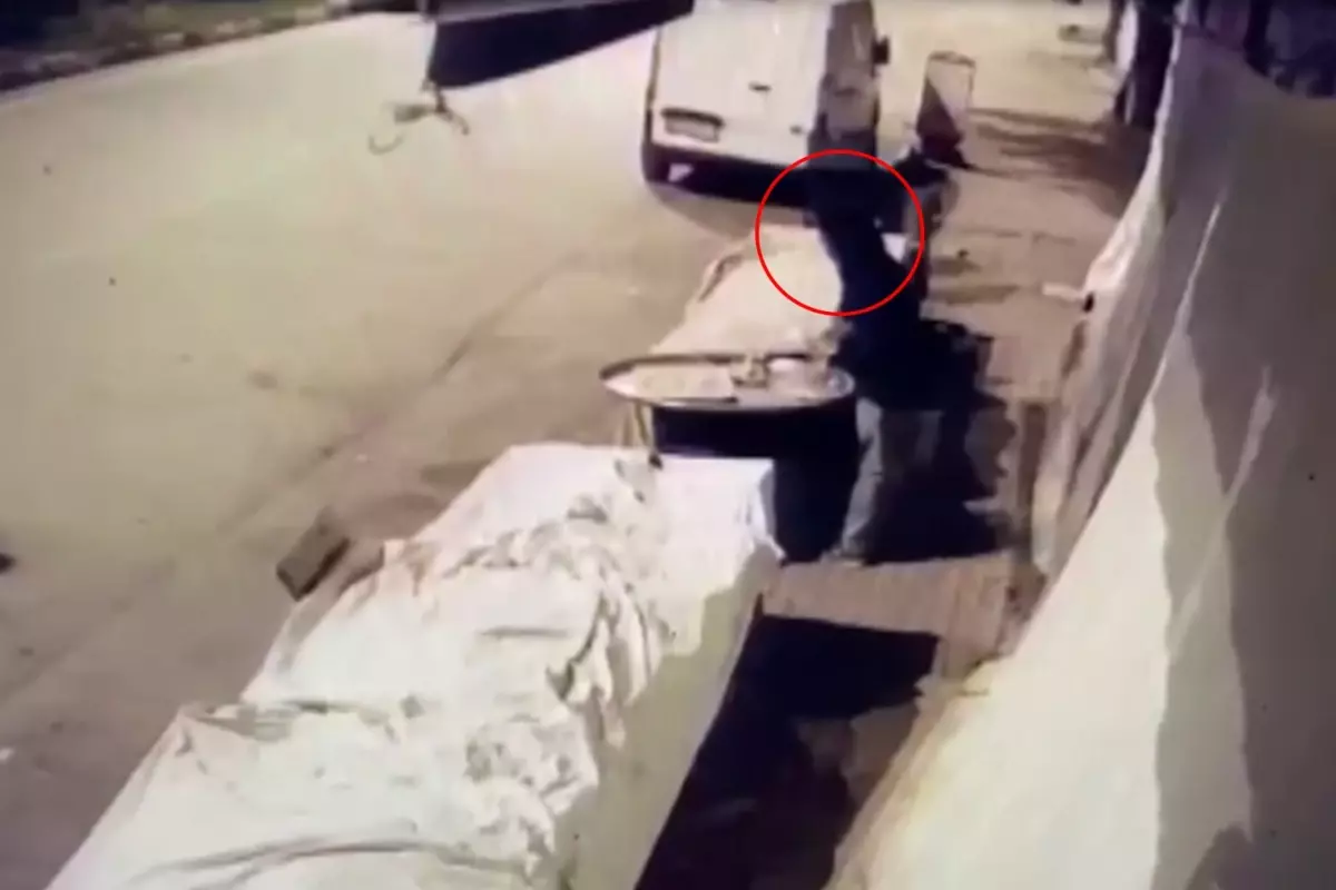 Hırsız Muzları Tepsiyle Çaldı