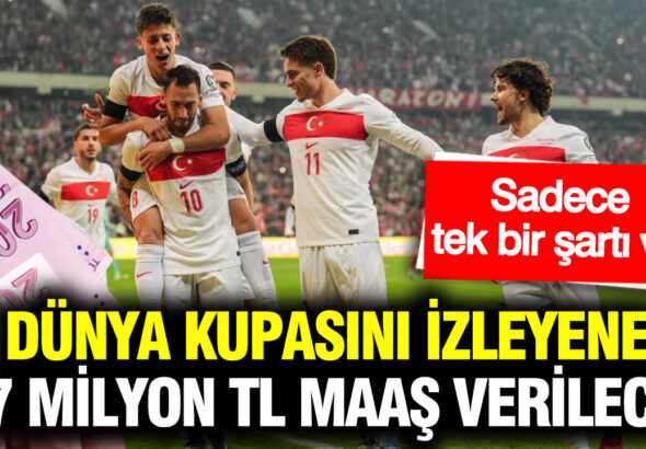 dunya-kupasini-izleyene-17-milyon-tl-maas-verilecek-dunyanin-en-cilgin-isi-icin-alimlar-I3JbtNqt